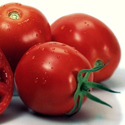 fresh ingredients - tomatos